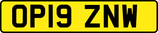 OP19ZNW