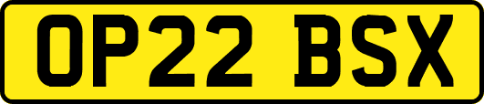 OP22BSX