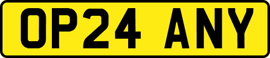 OP24ANY