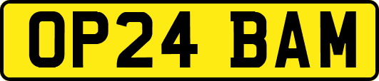 OP24BAM