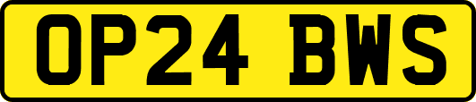 OP24BWS