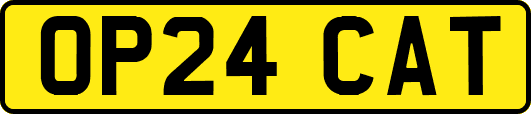 OP24CAT