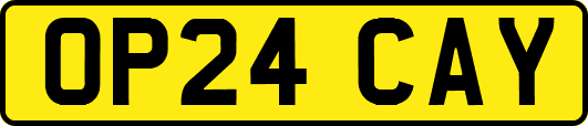 OP24CAY