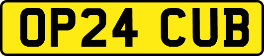 OP24CUB