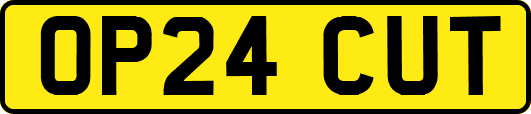 OP24CUT