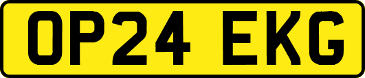 OP24EKG