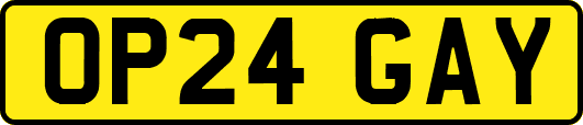 OP24GAY