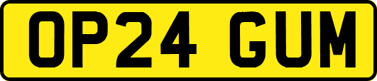 OP24GUM