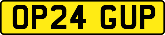 OP24GUP