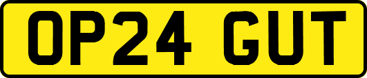 OP24GUT