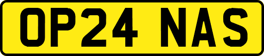 OP24NAS