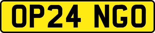 OP24NGO