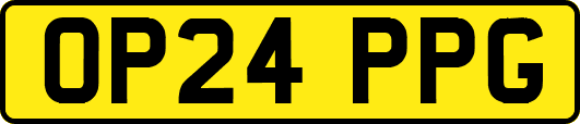 OP24PPG