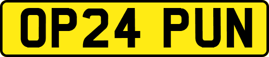 OP24PUN