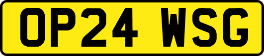 OP24WSG