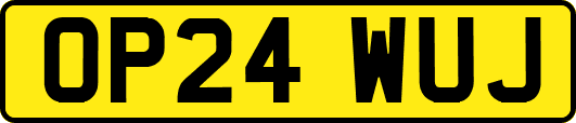 OP24WUJ