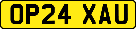 OP24XAU