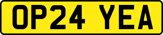 OP24YEA