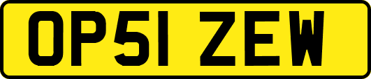 OP51ZEW