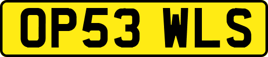 OP53WLS