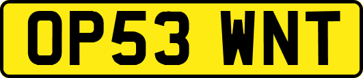 OP53WNT