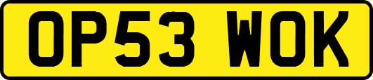 OP53WOK