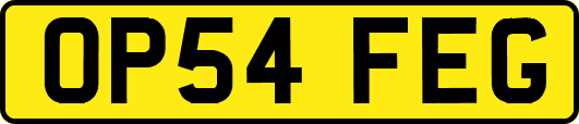 OP54FEG
