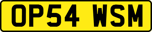 OP54WSM