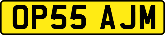 OP55AJM