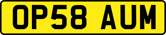 OP58AUM