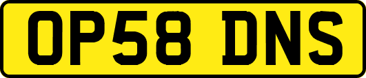 OP58DNS