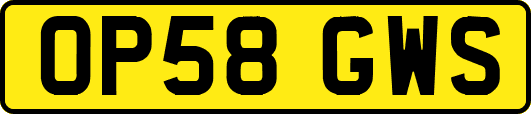 OP58GWS