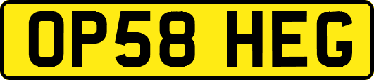 OP58HEG