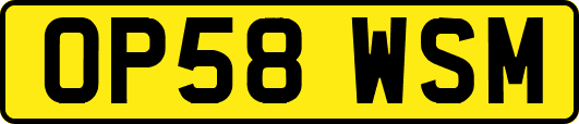 OP58WSM