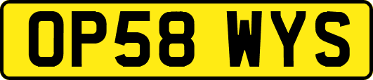 OP58WYS