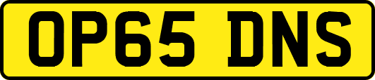 OP65DNS