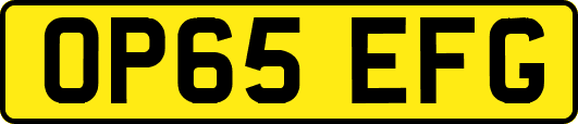 OP65EFG