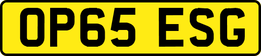 OP65ESG