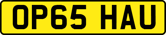 OP65HAU