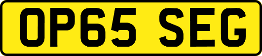 OP65SEG