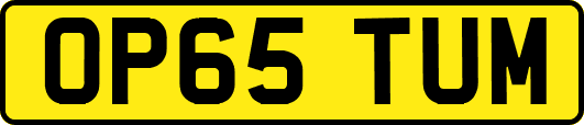 OP65TUM