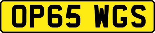 OP65WGS