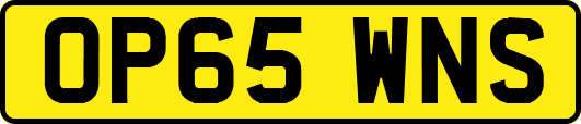 OP65WNS