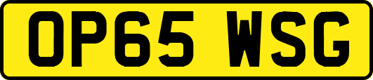 OP65WSG