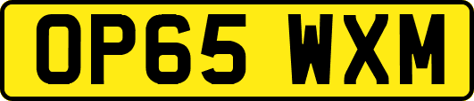 OP65WXM