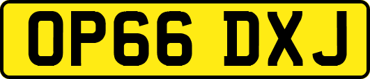 OP66DXJ