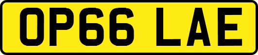 OP66LAE