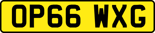OP66WXG
