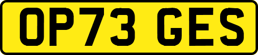 OP73GES