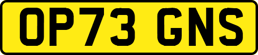 OP73GNS
